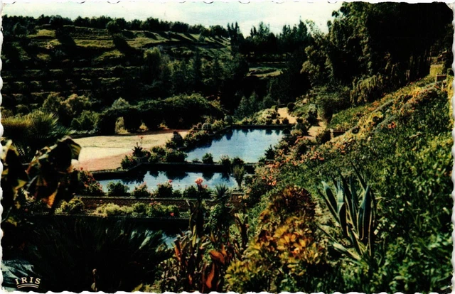CPM AK MAROC - MEKNES-Vallée heureuse d'Emile Pagnon (328956)