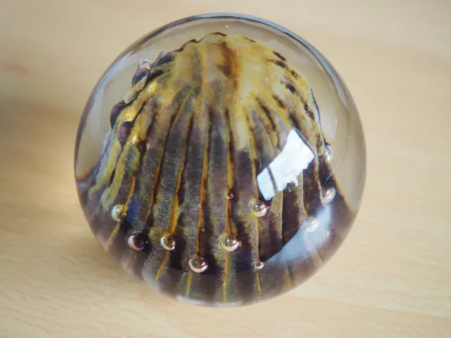 Brown yellow jellyfish like controlled bubbles Glass Paperweight good condition
