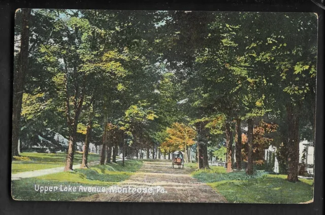 pk74849:Postcard-Vintage View of Upper Lake Avenue,Montrose,Pennsylvania