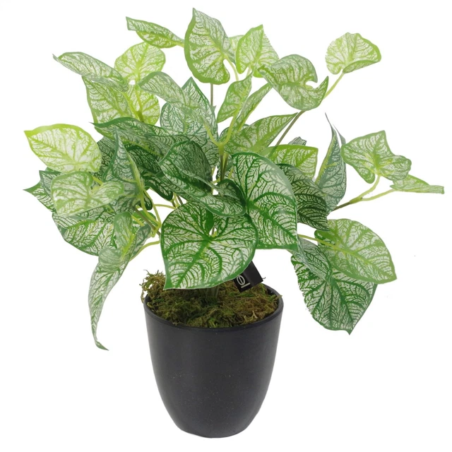 Pianta Artificiale Ficus Tabacco 180 Cm &ndash; Italia