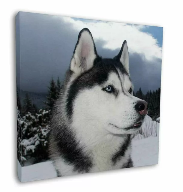 Estampado de imagen de arte de pared de lona husky perro siberiano de 12""x12