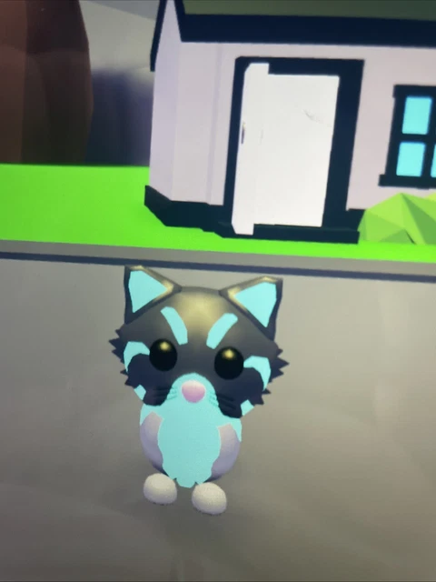 Persian Cat Adopt Me: Find Your Perfect Fluffy Companion Today