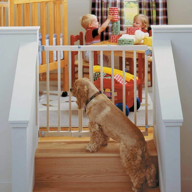 Toddleroo by North States 42" Wide Stairway Swing Baby Gate Made in USA: for ...