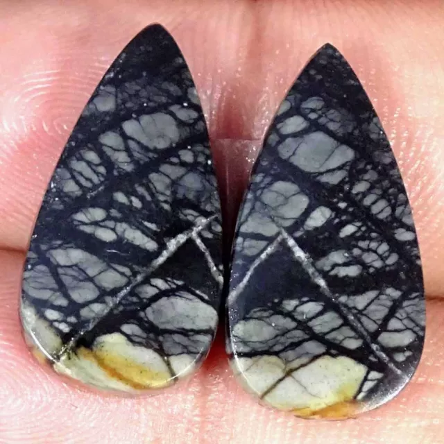 18.60Cts Natural Picasso Jasper Cabochon Loose Gemstone Pear Pair