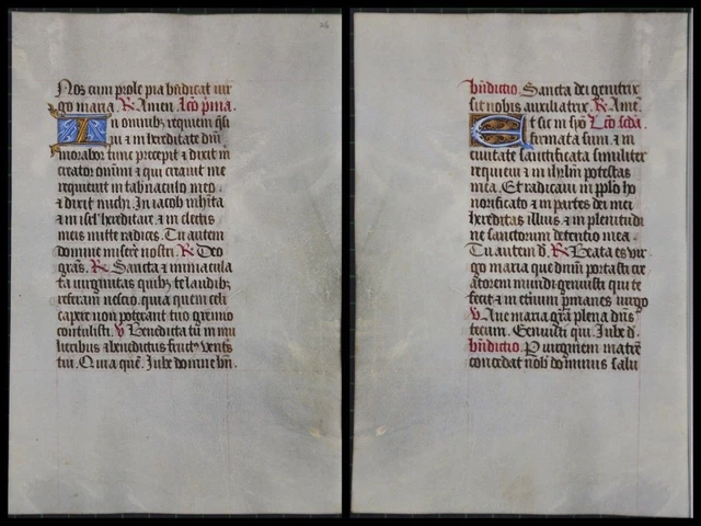Illuminierte Grafia Su Pergamena Foglia Di Uno Miniatura Um 1500 (084)