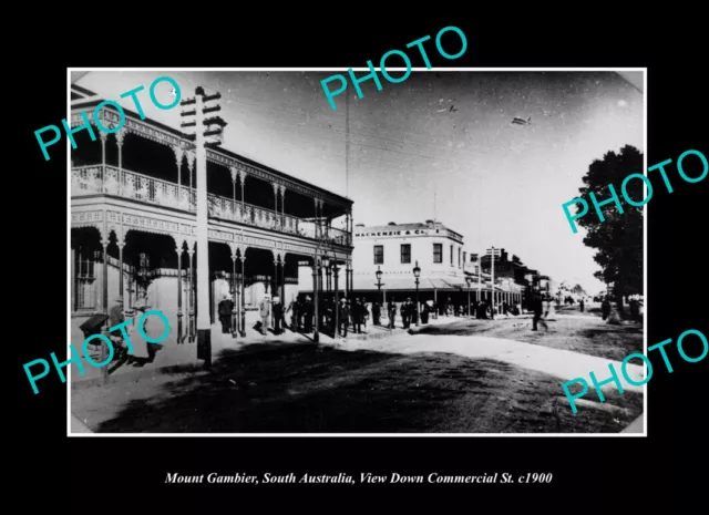 OLD LARGE HISTORIC PHOTO MOUNT GAMBIER SA VIEW OF COMMERCIAL ST c1900