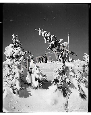 1940s Era Germany Photo Negative Snowy Winter Group Skiers