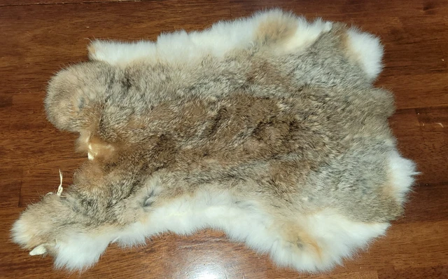 Vintage Light & Dark Brown Rabbit Fur Skin Pelt Bunny Animal Vintage Light & Dark Brown Rabbit Fur Skin Pelt Bunny Animal