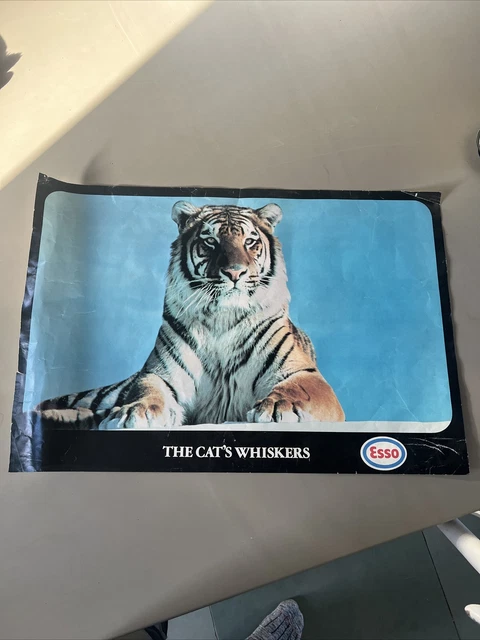 Vintage original advertising Esso Tigers poster - The Cat's Whiskers 23” X 16”.5