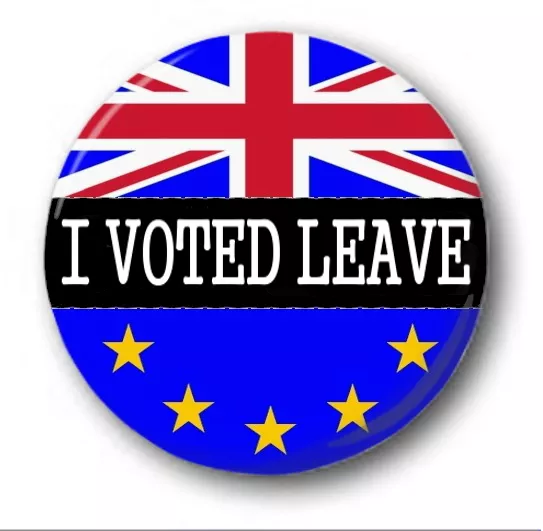 I VOTED LEAVE - 25mm 1" Button Badge - Novelty Cute EU Referendum Brexit Europe