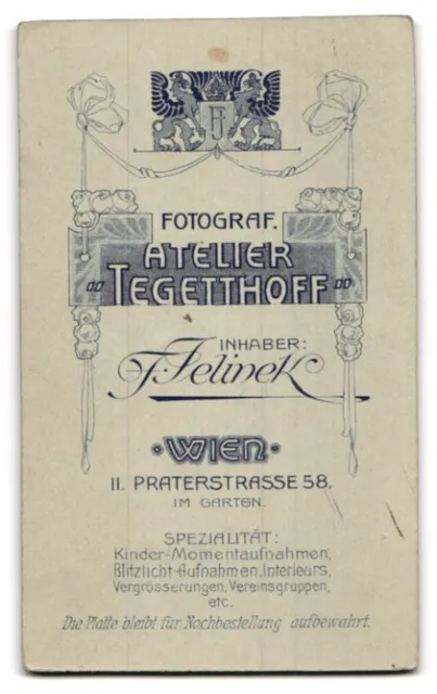 Photography F. Jelinek, Vienna, Praterstr. 58, Bourgeois Lady in Dress with Neck 2