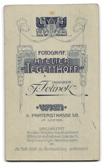 Photography F. Jelinek, Vienna, Praterstr. 58, Bourgeois Lady in Dress with Neck 2