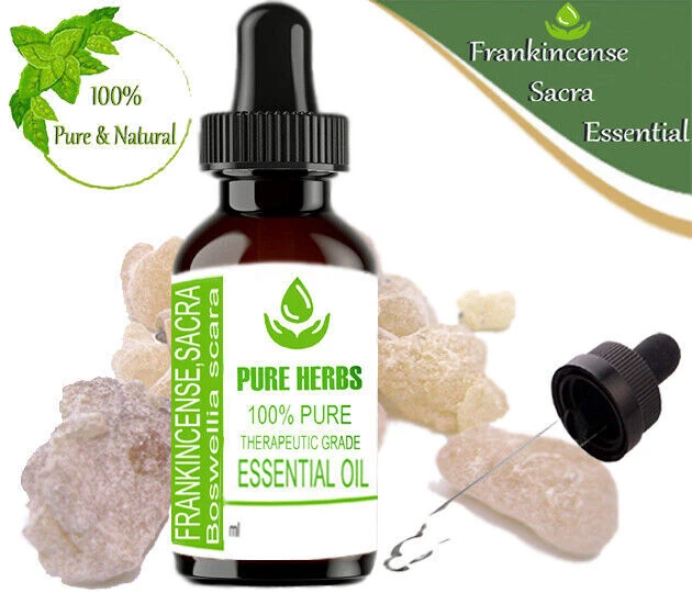 Pure Herbs Encens Sacra 100% Naturel Boswellia Scara Huile Essentielle