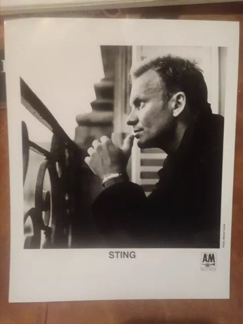 (3) Sting Professional Promo Photos From The Early '90s