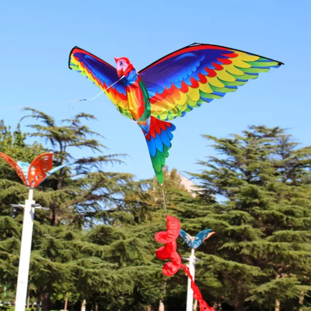 Parrot Kite Bat Kite Toy Enfants Jeu de Vol pour Activités de Jeux de Plein