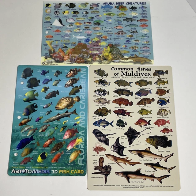 Franko Maps Aruba Reef Creatures Fish ID Cards Scuba Divers Snorkelers Lot-3