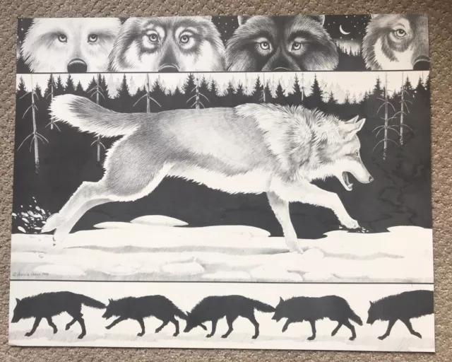 Wolf Art Reproduction Print Poster Lithograph Unframed 16x20" Fine Art Wolves