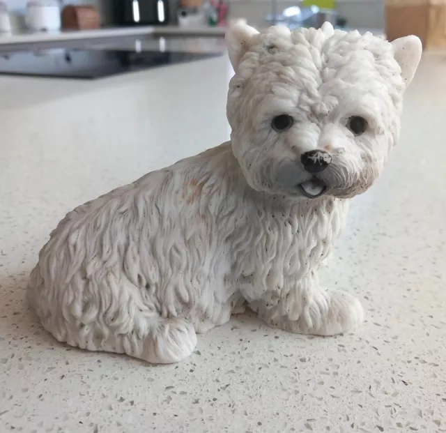 West Highland White Terrier Dog