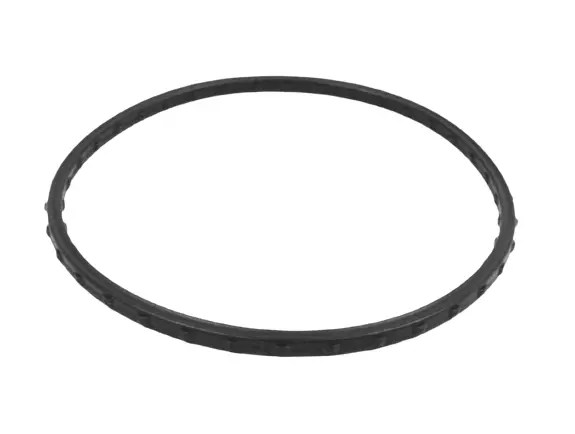 Guarnizione Pompa Acqua Mopar Per Chrysler 300M Dodge Intrepid 1998-2004 3.2 3.5