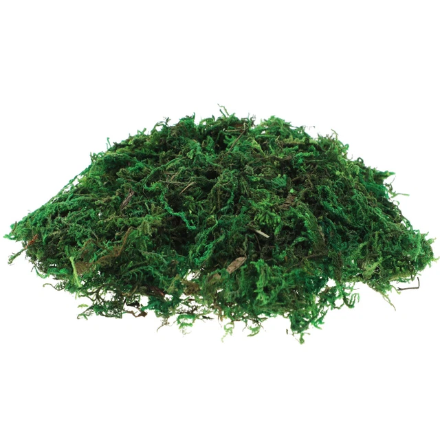 Funngy Muschio Stabilizzato,50 G Muschio Finto Sintetico Lichene Stabilizzato Morbido e Riutilizzabile per Decorazioni Terrario Acquario Parete Verde Artificiale Piante Interno ed Esterno