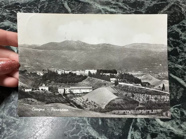 Cartolina Cicogna Panorama Viaggiata 1971 Bg