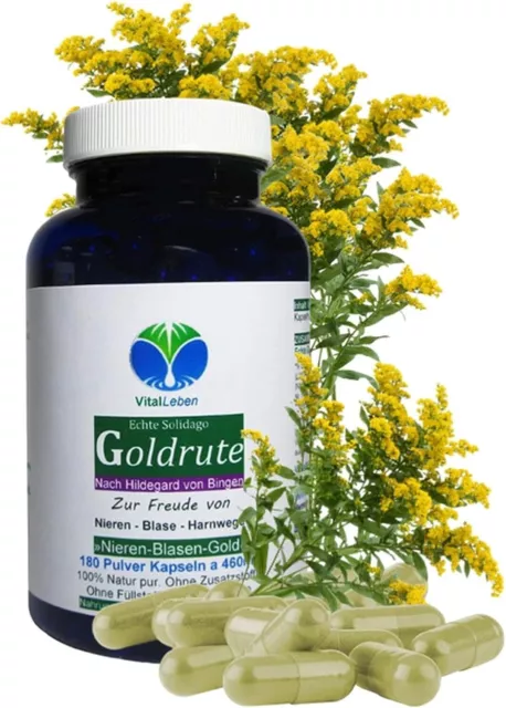 Echte Goldrute Solidago 180 Kräuter Kapseln nach Hildegard von Bingen. 26935-180