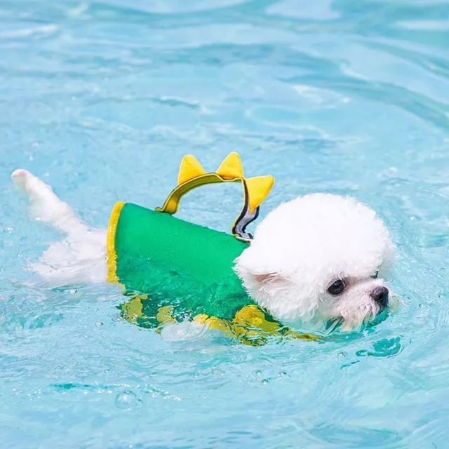 In piscina spiaggia lago vestiti cane giubbotto salvagente cane gilet vita cane costume da bagno