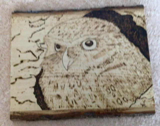 Basswood Owl - wood burn art pyrography 8.5x11 solid, live edge hand burned