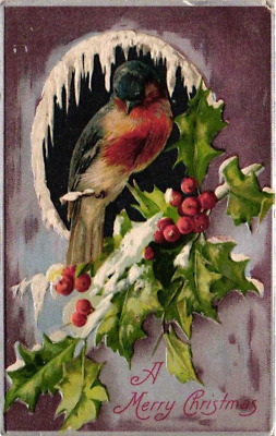 A Merry Christmas Eastern Blue Bird embosses holly winter scene postcard A510