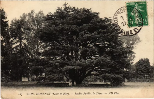 CPA Montmorency Jardin public, le Cedre (1317355)