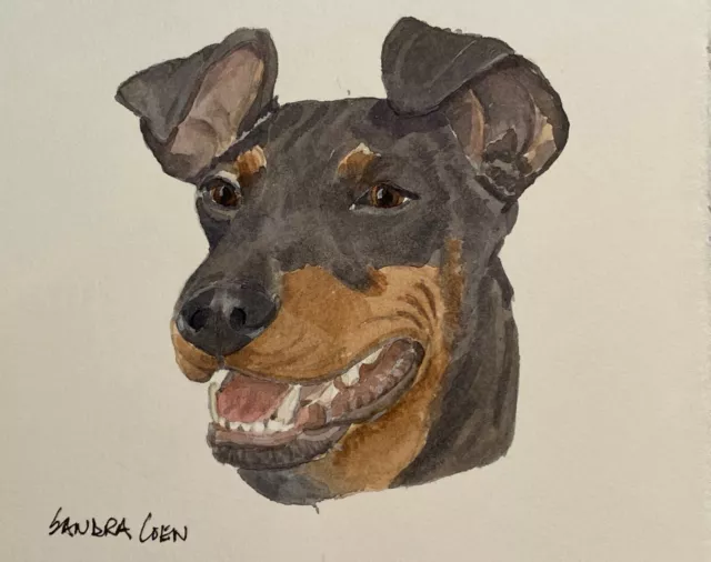 Manchester Terrier Original Watercolor by  Sandra Coen Head Study