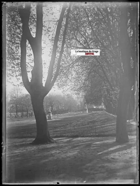 Rennes, parc jardin, Plaque verre photo ancienne, négatif noir & blanc 9x12 cm