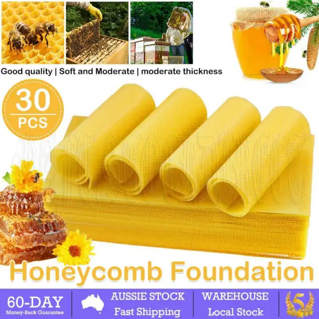 30x Honeycomb Foundation Bee Hive Wax Frames Waxing Beekeeping Equipment Bee OZ