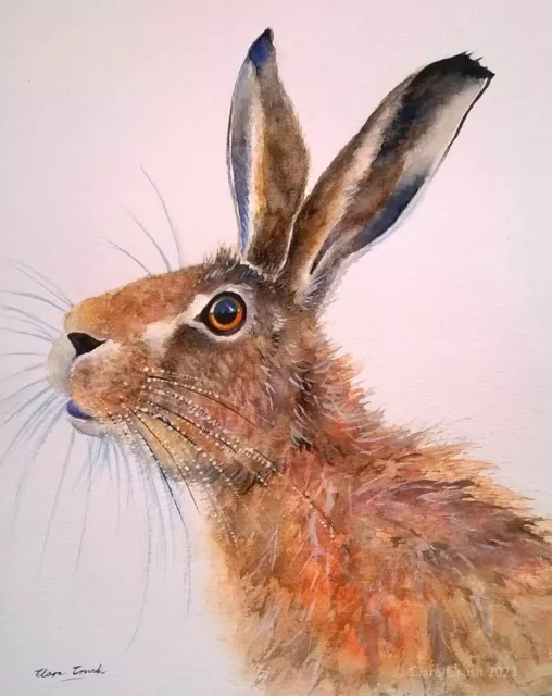 ORIGINAL signiertes Aquarellgemälde HASE Kaninchen Tier Wildtier Kunst Clare Crush