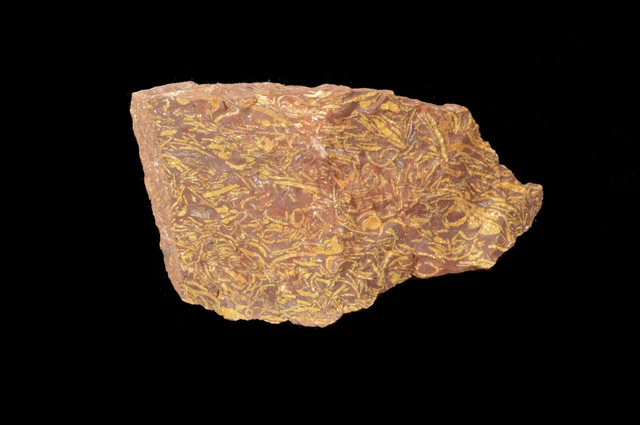 Calligraphy Jasper 2" Metaphysical Solar Plexus Chakra Healing Crystal Reiki