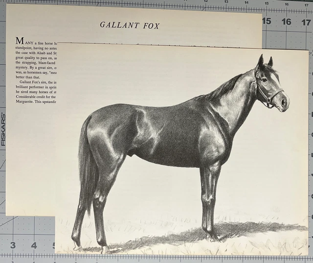 Gallant Fox C W Anderson Vintage Race Horse Print From The Smashers See Photos