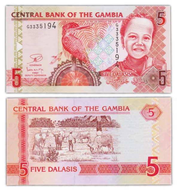 5 DALASIS 2006 GAMBIE / GAMBIA [NEUF / UNC] P25c