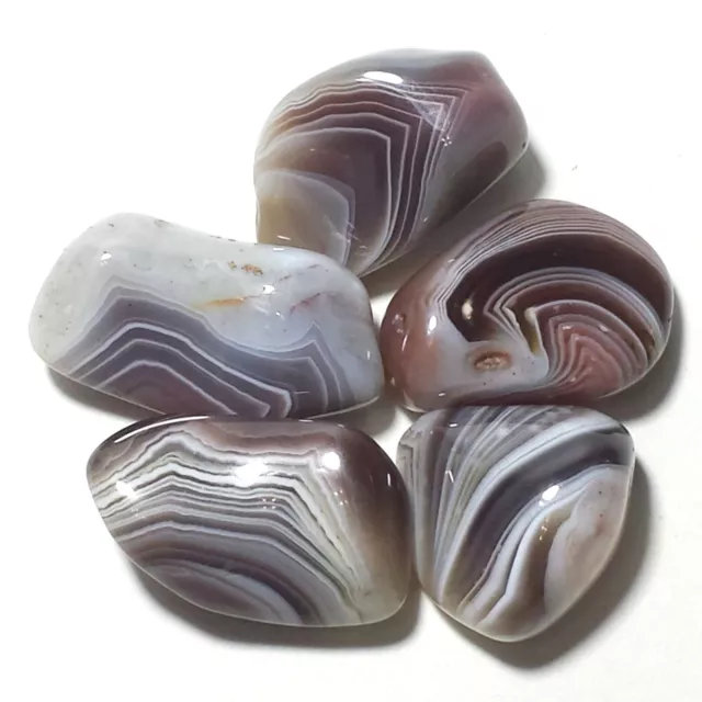 Gray Botswana Agate Tumbled Polished Crystal Stone, 5 Pc Set, Avg Size 0.95 Inch