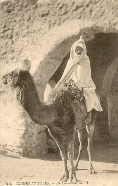 Carte Postale Afrique Algerie Scenes Et Types Un Chamelier