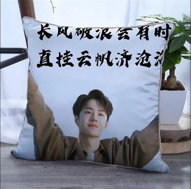 王一博 Wang Yibo Cotton doll pillow 长风破浪