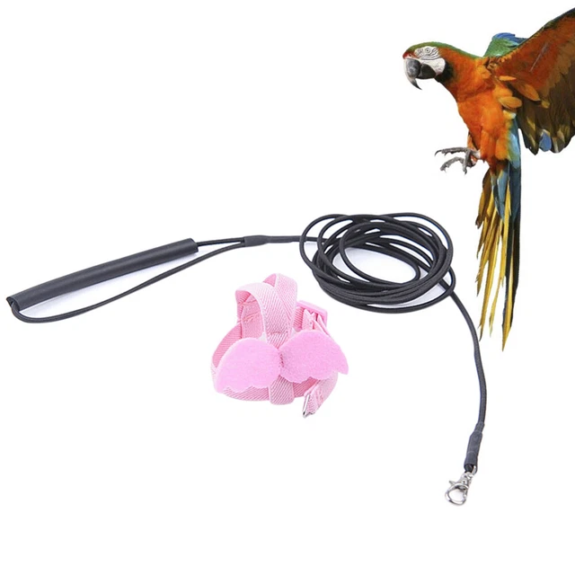 1pc Papagei Zugseil bird elastic rope perch Seil Papagei Leichte Vogel Fliegen