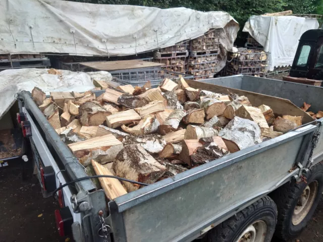 🔥🪵Bulk Trailer Load Of Seasoned Firewood Logs For Wood Burning stove 🔥🪵