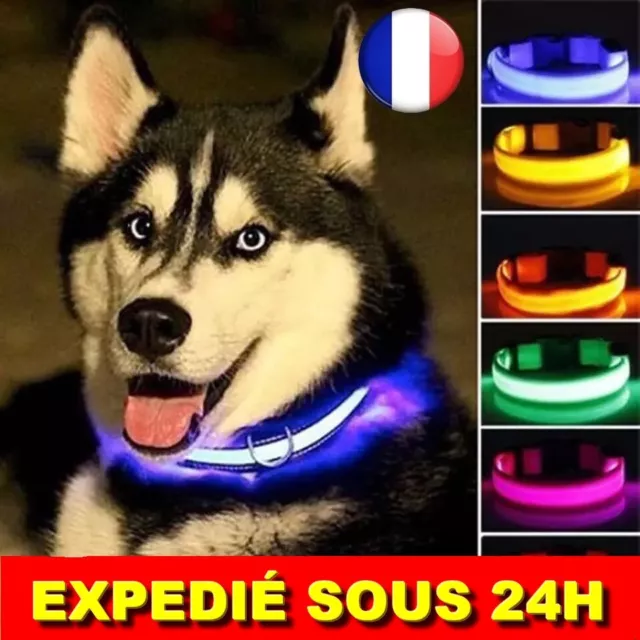 ✅ Collier LED Chien Lumière Nuit Sécurité Clignotant Chat Chien Lumineux Perte