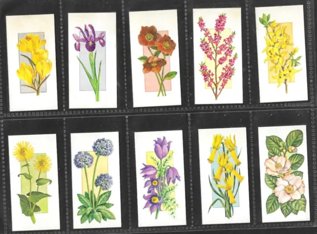 Cigarette Cards Carreras (Black Cat)  1977 Flowers All The Year Round - Full Set
