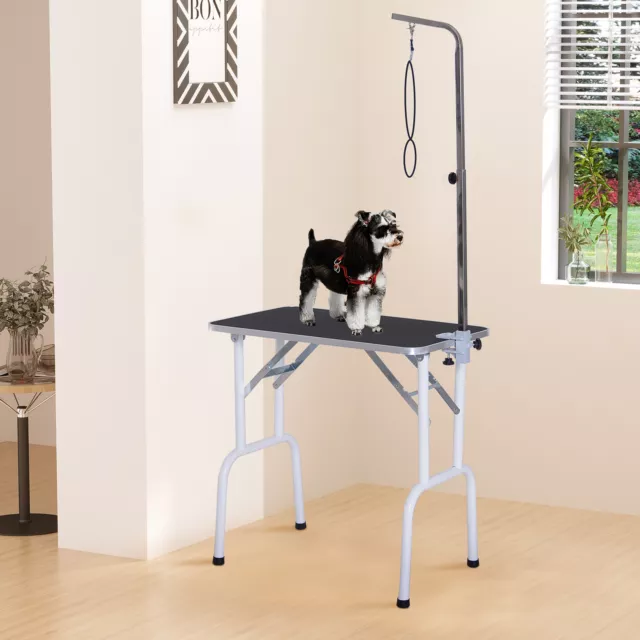 PawHut Trimmtisch klappbar Schertisch Pflegetisch für Hunde Katzen Metall