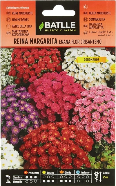 Semi Di Salsify Geant Noire De Russie - 600 Semi | Radice Nera Da Cucina | Coltivazione Facile - Foto 9