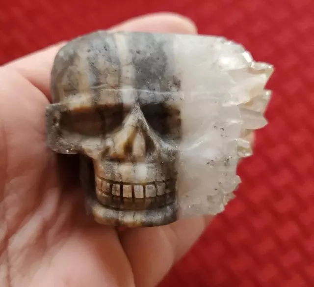 Carved Skull Quartz Crystal Cluster Rock Specimen