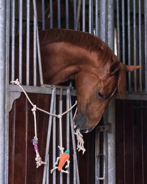 Qhp Horse Toy Box Stable Hanger For Pony Horse Or Foal Bordem Toys