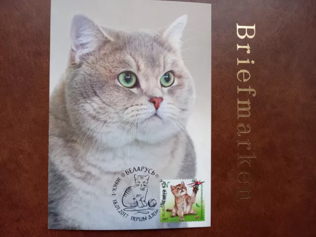 Belarus Weißrussland Maximumkarte Maximum Cards Katzen Cats Michel Nr. 1169-1172 3