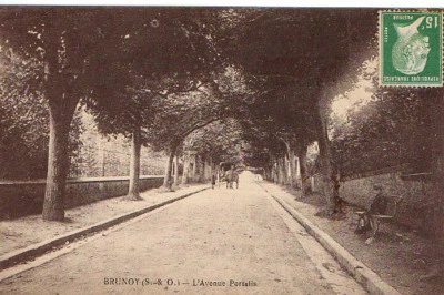 CPA 91  BRUNOY l'avenue portalis